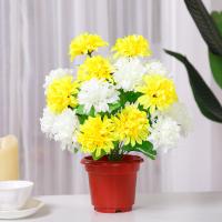 uploads/erp/collection/images/Home Garden/CongDing/XU0610722/img_b/XU0610722_img_b_1